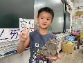 115.1交趾陶