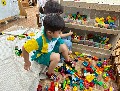 [無尾熊第十九周]