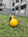 [115-1]大熊第6周