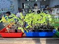 「種」下希望