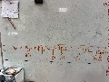 w15大肌肉活動