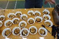 客家文化--牛汶水