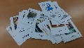 綜合備觀議課研習