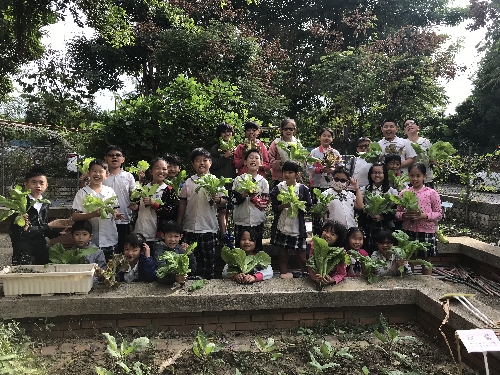 首頁圖示